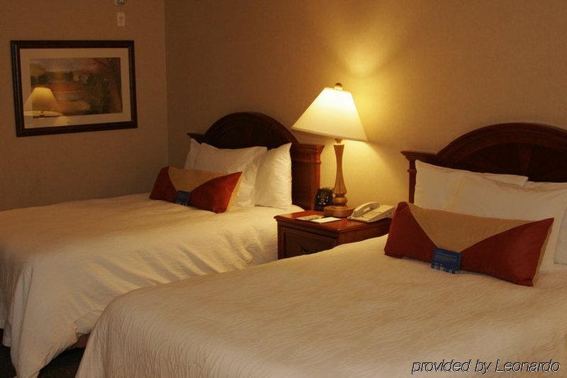 Hilton Garden Inn West Edmonton Habitación foto